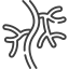 500+ Endovascular Procedure